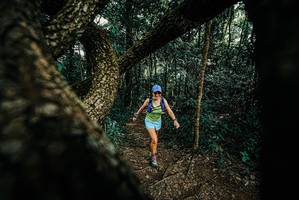 BIB: 
                            <button type="button" onclick="openModal(25666648)" class="btn btn-primary btn-sm float-right btn-popup" data-toggle="modal" data-target=".modal-high-quality">
                        <i class="fas fa-shopping-cart"></i> Add to Cart
                    </button>
                                            <button type="button" onclick="isThisMe(25666648, true)" class="btn btn-success btn-sm float-right btn-popup btn-isme hidden" data-toggle="tooltip" data-placement="bottom" title="นี่คือรูปของคุณใช่ไหม คลิกที่นี่เพื่อเอาเข้าอัลบั้ม">
                        <i class="fas fa-plus"></i> Add to album
                    </button>
                    <button type="button" onclick="isThisMe(25666648, false)" class="btn btn-warning btn-sm float-right btn-popup btn-isnotme hidden">
                        <i class="fas fa-ban"></i> Remove from album
                    </button>